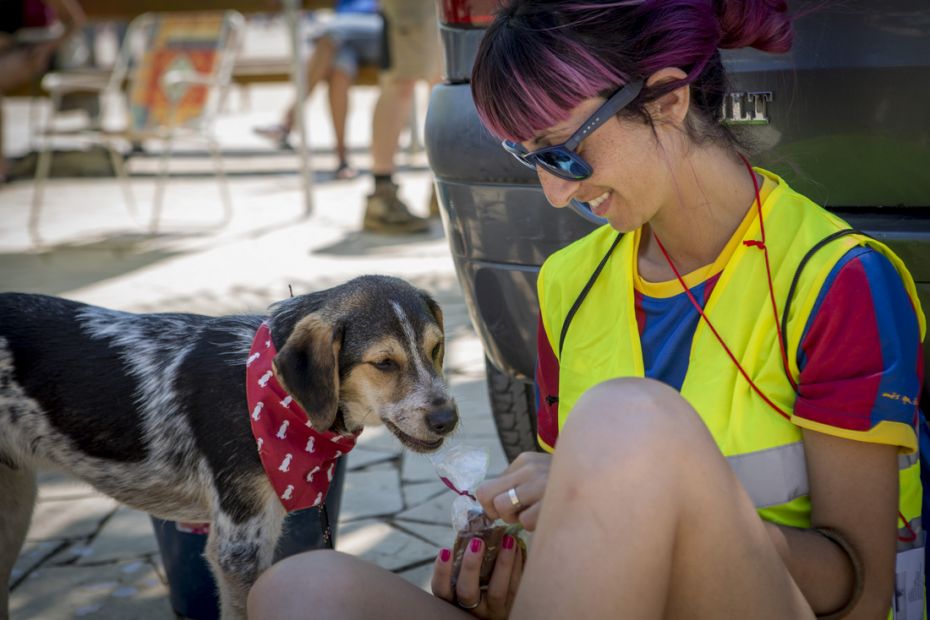 1433844005Desfilada Canina Solidaria 2.jpg